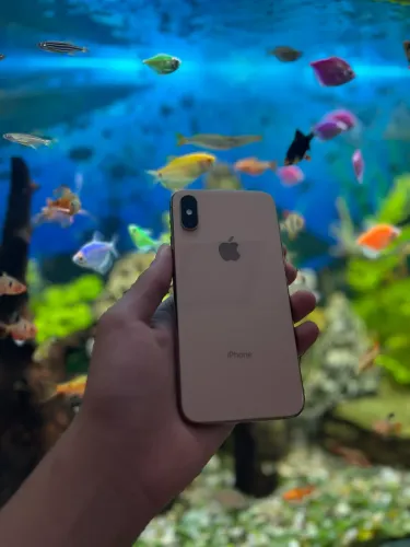 iPhone XS 512 GB (Nunca Aberto)