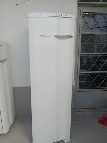 Freezer Electrolux 