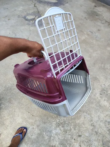 Caixa de Transporte para gatos n°01