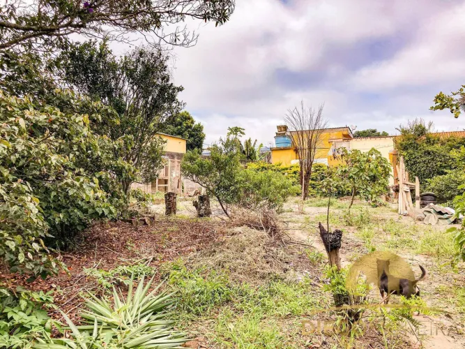 TERRENO À VENDA EM TERRA PRETA  OPORTUNIDADE IMPERDÍVEL!