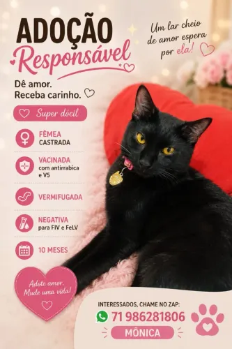 Gata