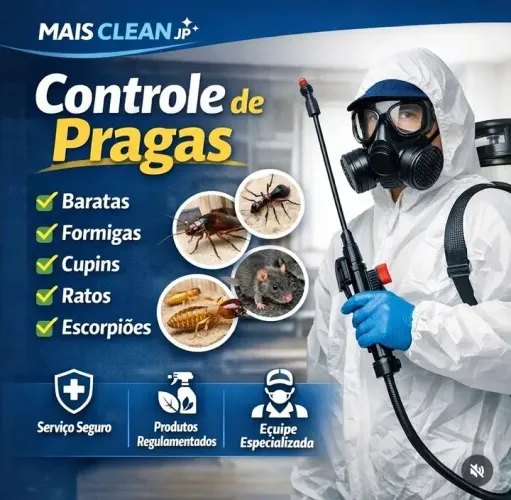 Serviço de dedetização e higienizaçao de estofados