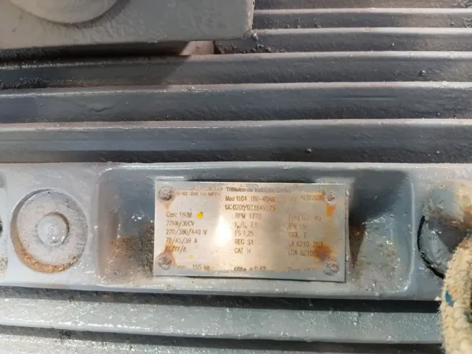 Motor 30 cv Siemens