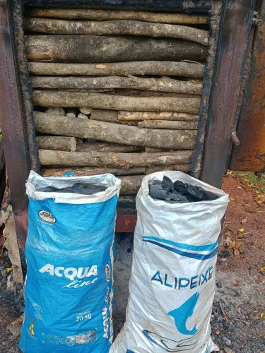 Carvão pirolizado 