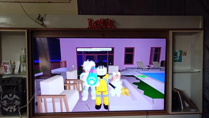 Tv 65