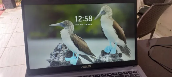 Notebook ASUS M515DA - Ryzen 5 | 8GB RAM | SSD 256GB | Estado de Novo