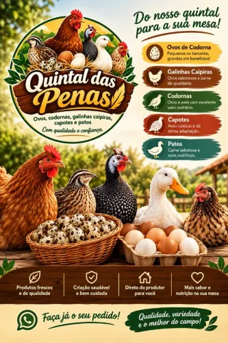 Vendas de ovos de codorna,codornas e galinha caipira