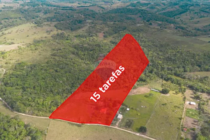 Sítio com 15 tarefas próximo a Santo Antônio de Jesus - BA