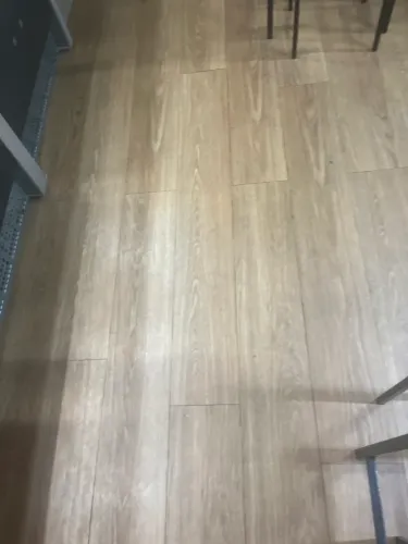 Cuidadora