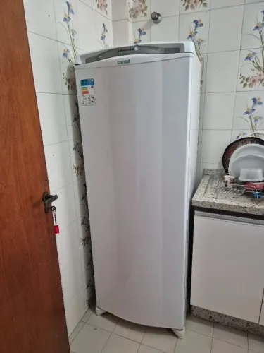 Geladeira frost free 295 Litros