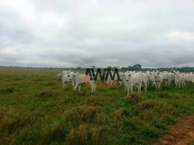Fazenda à venda, 21000 m² por R$ 450.000.000,00 - Novo Diamantino - Diamantino/MT