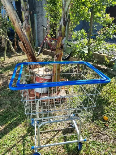 Carrinho de compras 