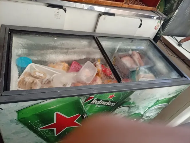 Freezer horizontal