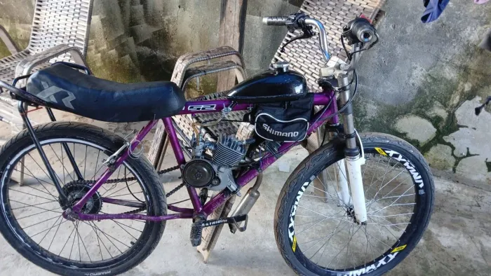Bicicleta motorizada
