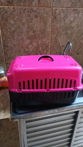 Caixa Transporte Pet