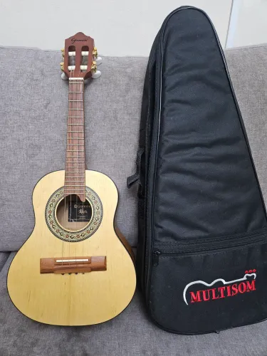 Cavaco Giannini CS1 Raiz