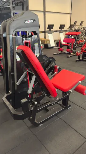 Cadeira extensora e mesa flexora