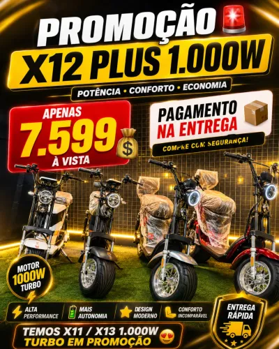 Bicicleta Elétrica x12 Plus 1.000wts