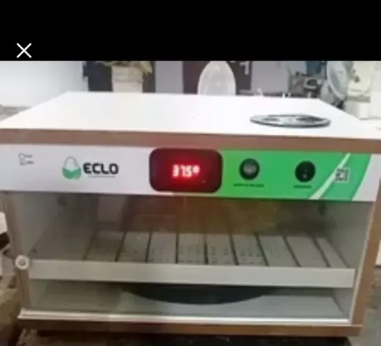 Chocadeira automática 70 ovos