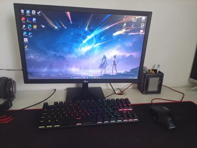 Monitor LG 75 HZ usado