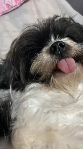 Melisa Linda !!