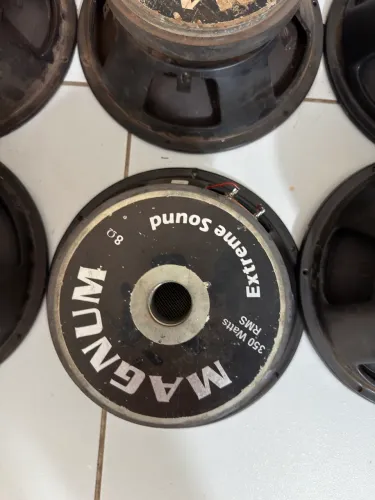 Alto falante 10 polegadas 350 rms Magnum