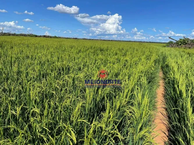 Fazenda em Anapú/PA - Oportunidade Única!