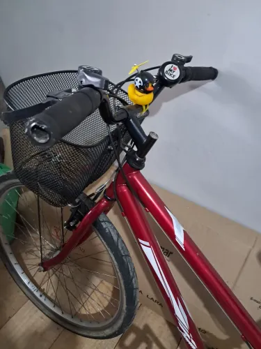 Bicicleta