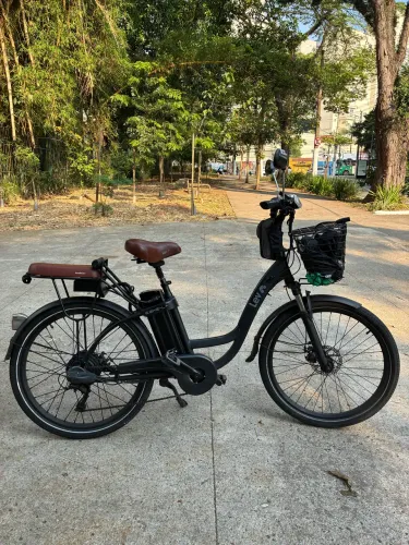 LEV E-Bike L-Plus 350W