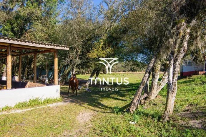 Chácara à venda, 97074 m² por R$ 1.750.000,00 - Weissópolis - Pinhais/PR