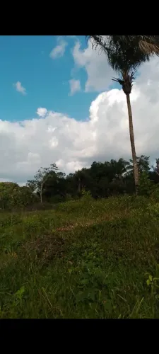 Vende-se terreno em mosqueiro (baia do sol )