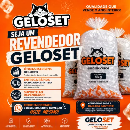 Seja um revendedor de gelo