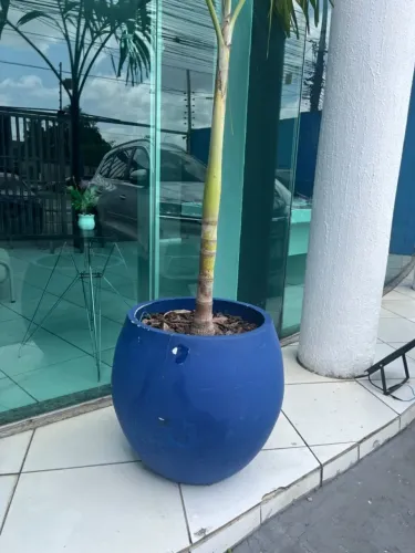 Vaso decorativo grande azul para plantas