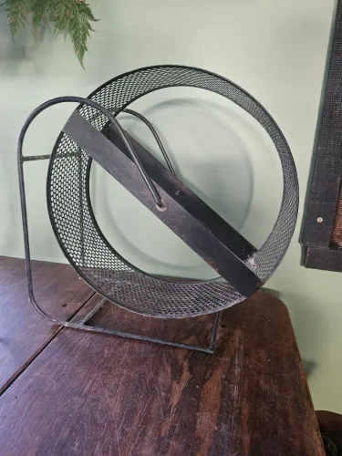 Roda 40 cm para rato twister