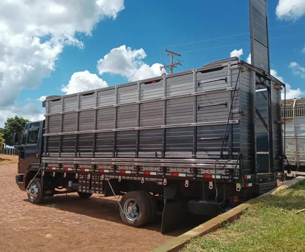 Transporte carga viva 