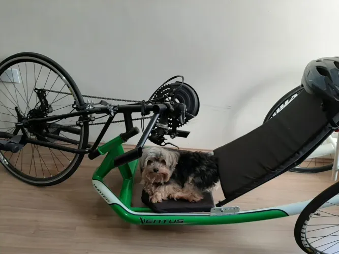 Bicicleta Triciclo Hand Bike