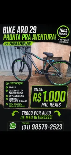 Bicicleta Quadro 17"