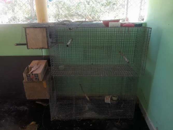 VENDO 2 VIVEIROS GRANDES PARA AVES