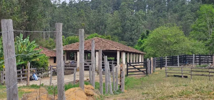 *FAZENDA COM EUCALIPTO A VENDA - VALE DO PARAÍBA - SÃO PAULO* ?? Área Total: 216 Alqueires