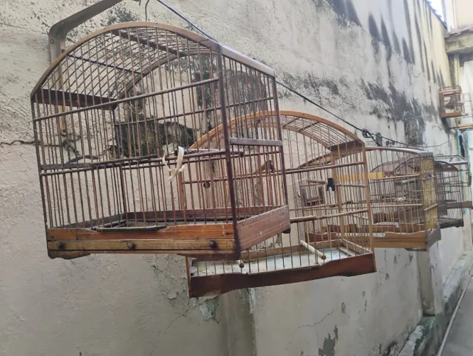 VENDO GAIOLAS DE PASSARINHOS