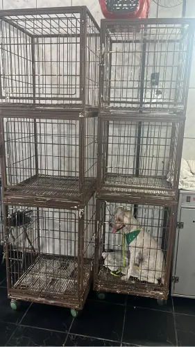 Gaiola para pet