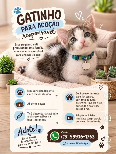 DOAÇÃO DO PINGO 