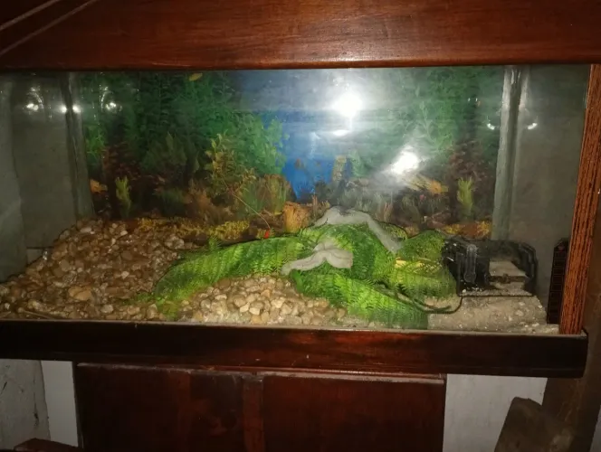 Aquário 200 Litros completo