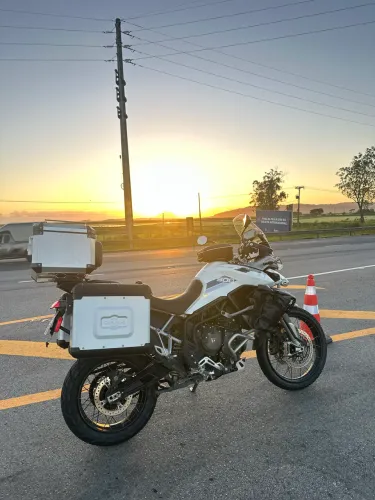 Triumph tiger 900 rally pro - FULL PPF