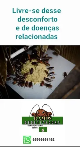 Dedetização em apartamentos, condomínios e casas