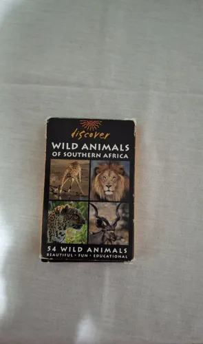 Cards Discover Wild Animals of Southern Africa - Educativo