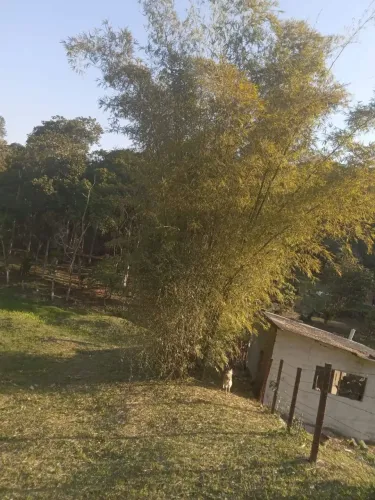 Linda cjacara 2 laguinhos 75 de entrada totalizando 150 mil reais