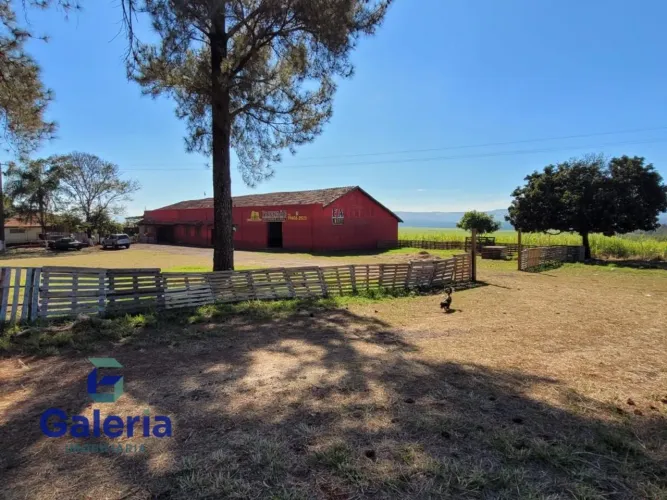 Fazenda para alugar, 20.000m² - São Simão-SP