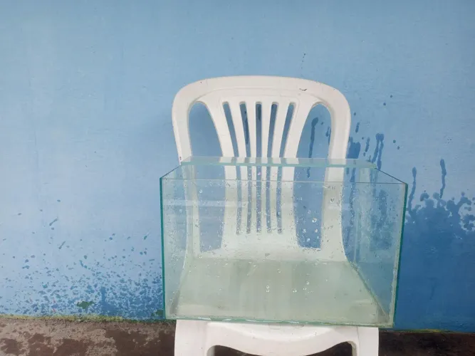 Aquário de Vidro para Decoração
