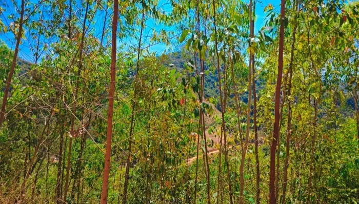 Sítio VISTA DAS MONTANHAS, Recursos Naturais - Domingos MARTINS, TIJUCO! Parcelo- troco